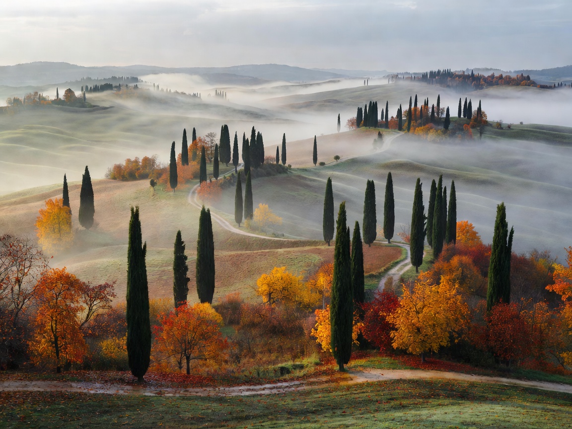 Misty autumn morning over rolling hills and cypress trees in Val d'Orcia Tuscany